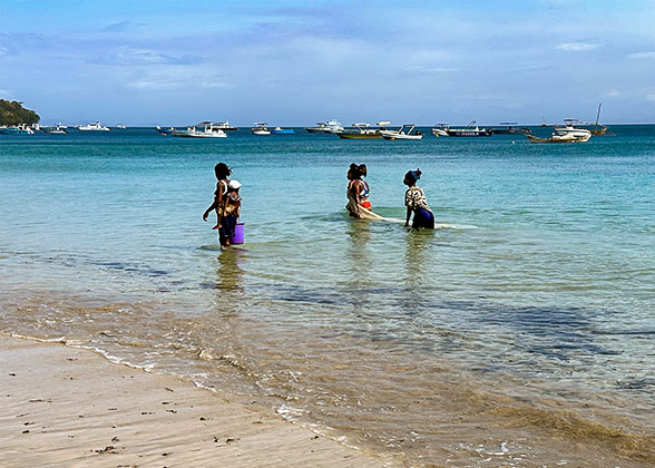 Gathering Seafood on the Beach