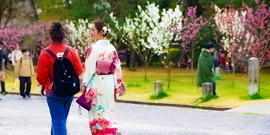 Sakura in Osaka Castle