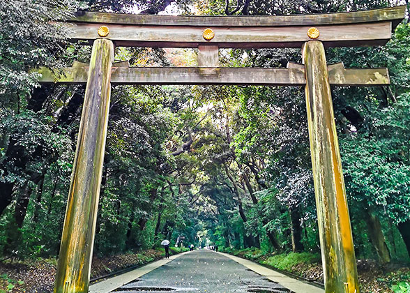 Meiji Shrine in the Rainy Season, Tokyo