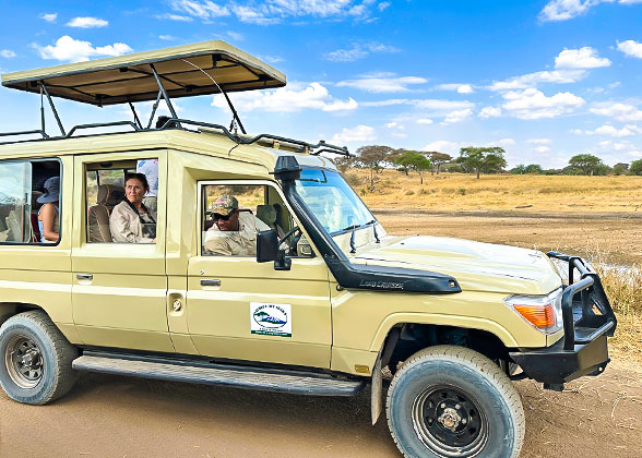Safari around the Savannah in Tanzania