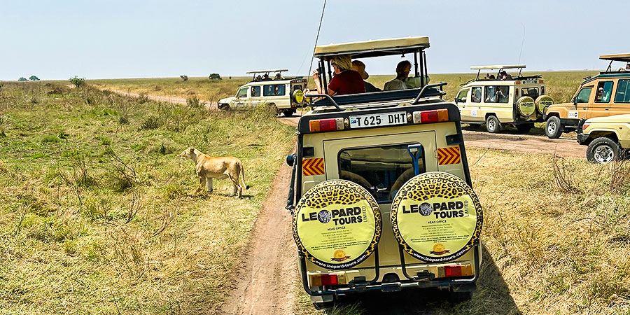 Go Safari in Serengeti NP in July