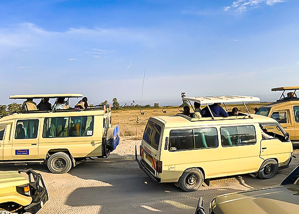 Vehicles for Safari in Kenya