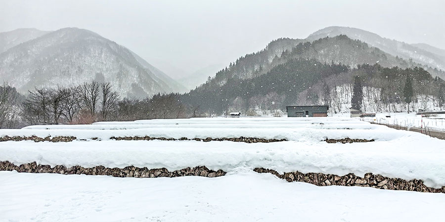 Sapporo in winter