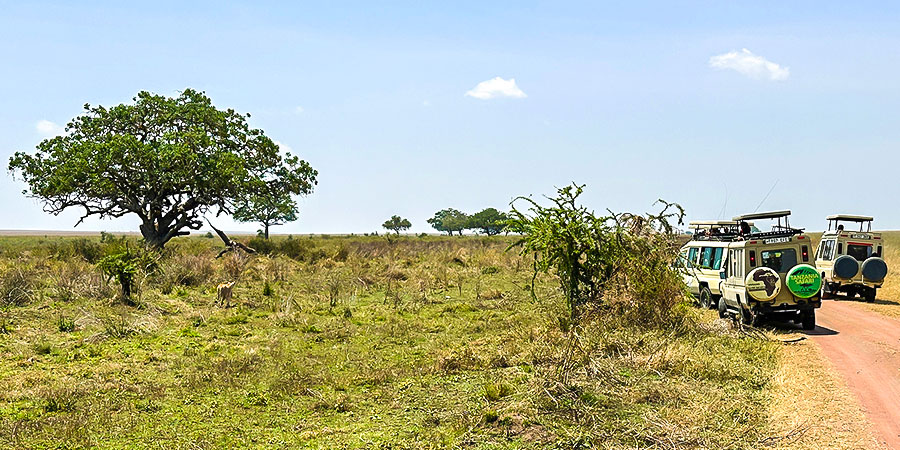 Good Weather in Serengeti NP