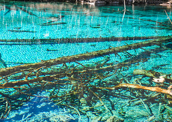 The Shirogane Blue Pond in Biei
