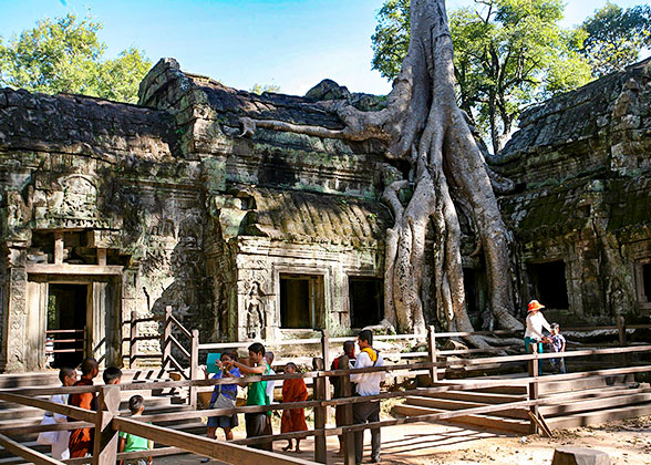 Ta Prohm, Tomb Raider Temple