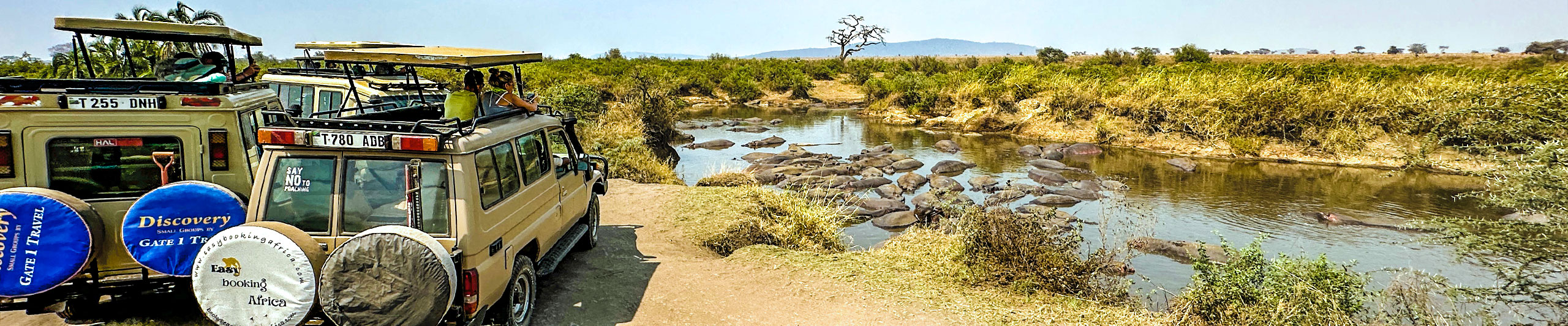 Go for a Safari in Serengeti NP, Tanzania