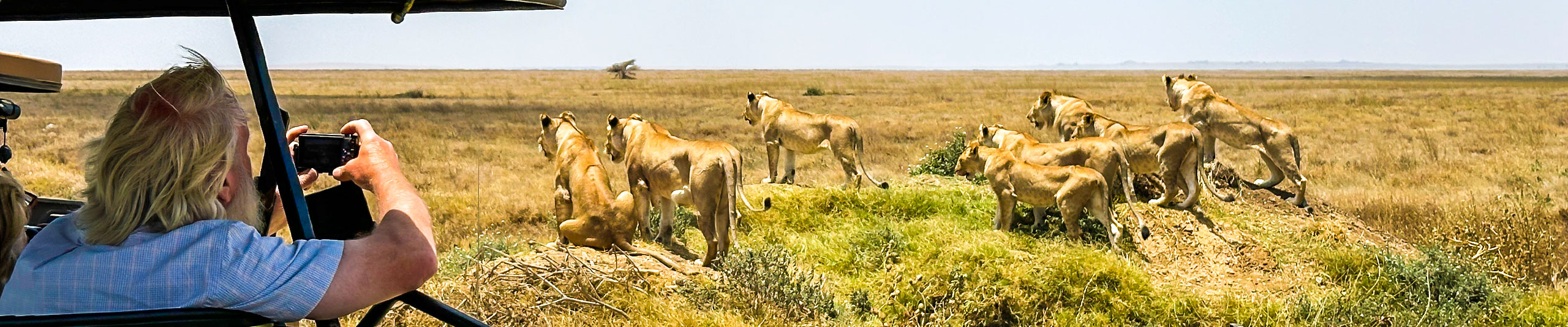 Safari to See Lions in Serengeti National Park