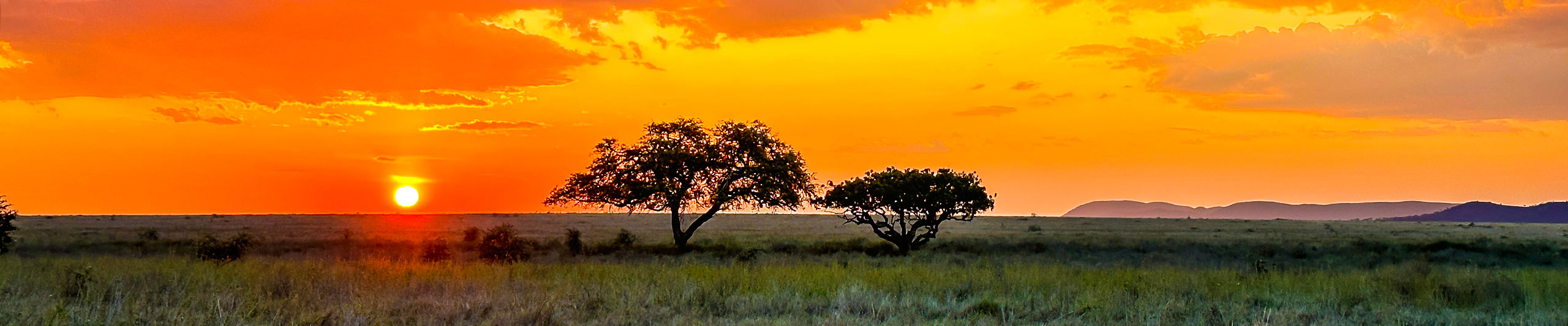 Sunset over the Savannah in Serengeti, Tanzania