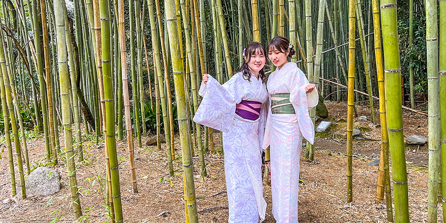 Bamboo Grove outside Tenryu-ji Temple