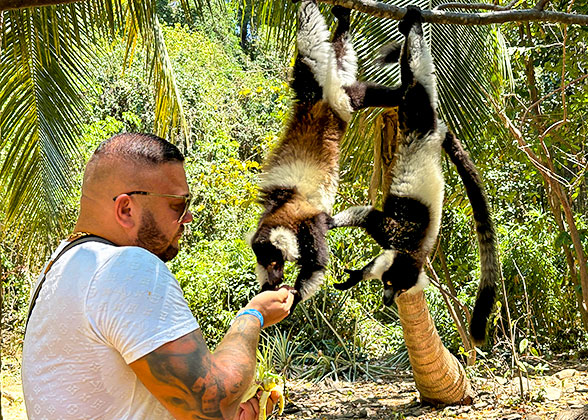 Tourist Feeding Lemurs