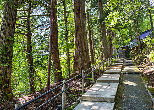 Path to Togakushi Shrine