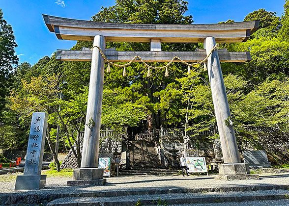 Torii in Togakushi Shrine