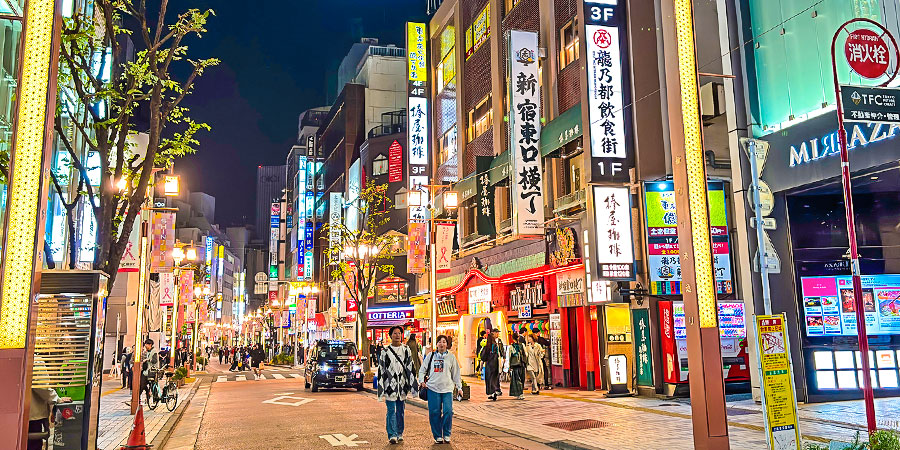 Tokyo Night View