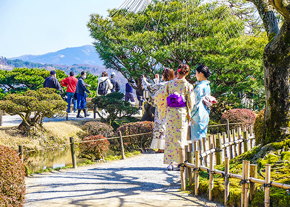 Visitors in National Showa Memorial Park