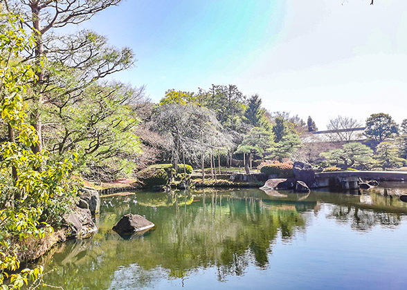 Pond in Yoyogi Park