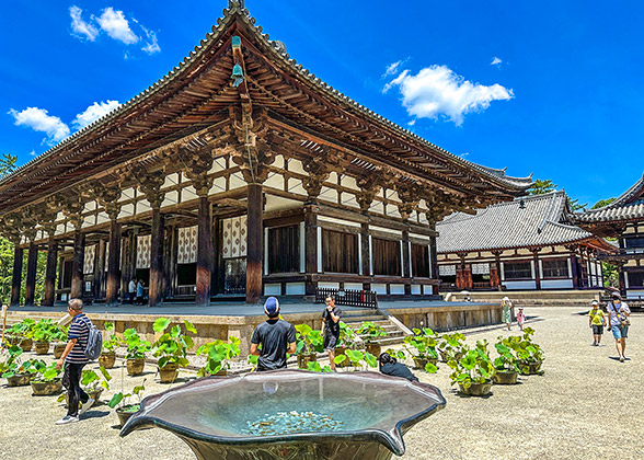 Toshodaiji Temple's Main Hall