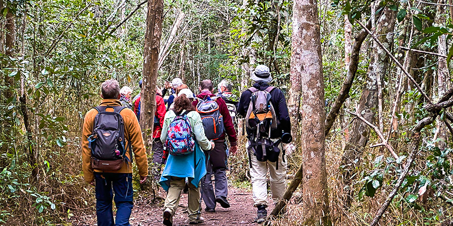 Ranomafana NP, Madagascar Weather in May