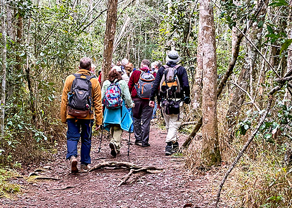 Trekking Tour in Kenya