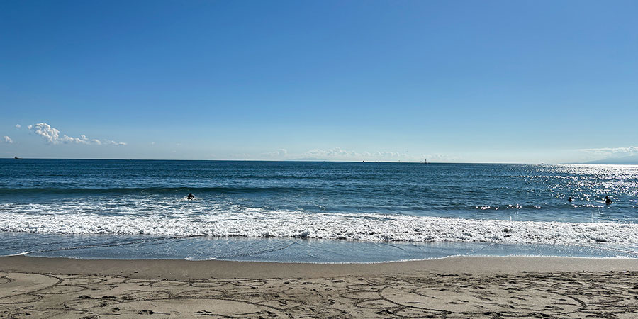 View of Uminonakamichi Seaside Park