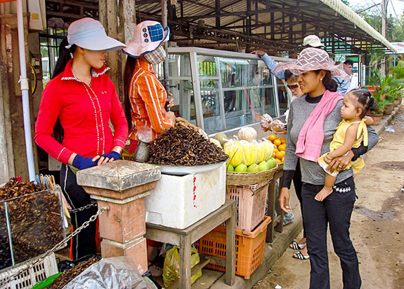 A Walking Tour through the Village