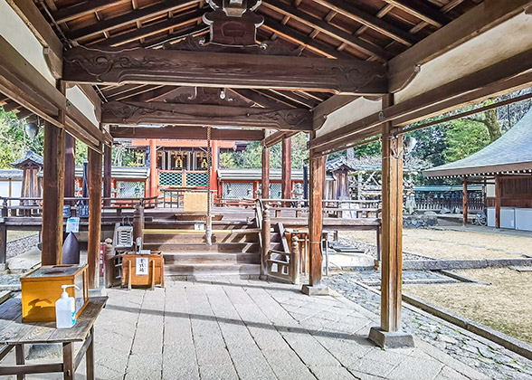 Wide corridor in the extensive yard