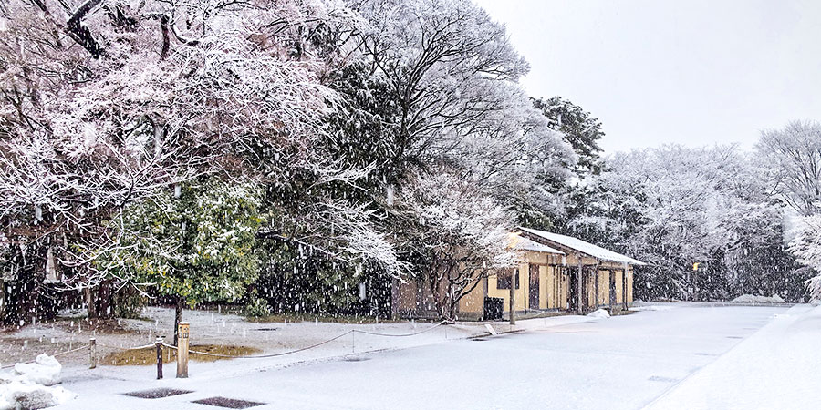 Sapporo in winter