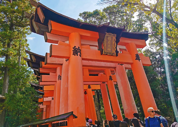 Yutoku Inari-jinja Shrine Torii Gates