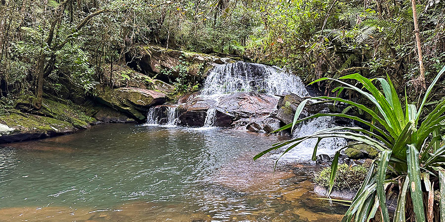 Amber Mountain National Park
