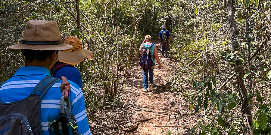 Amber Mountain National Park Hiking