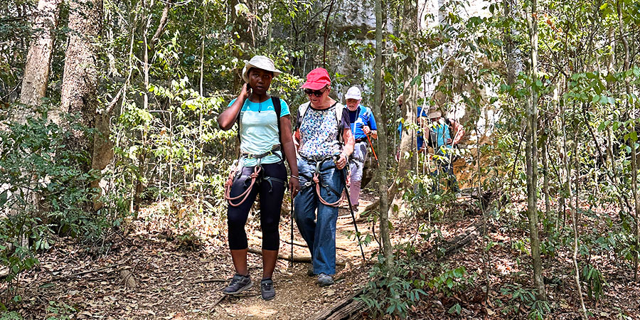 People Hiking in the National Park