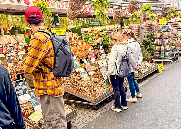 Flower Market in Amsterdam