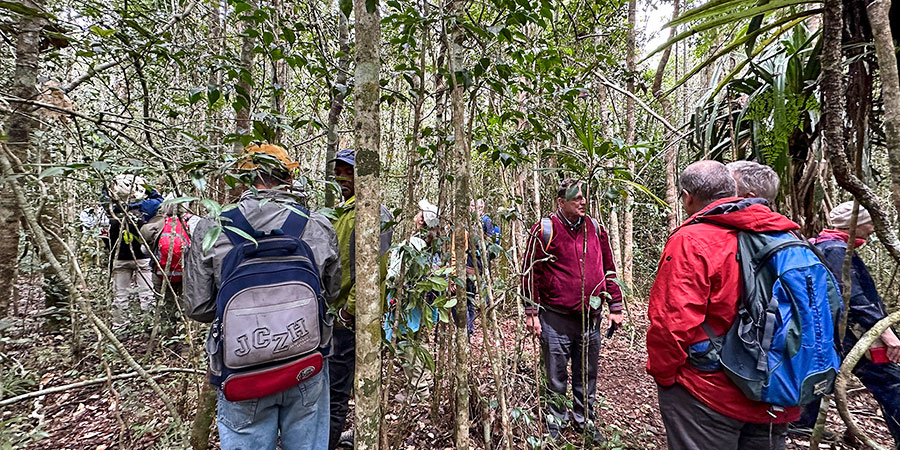 People Hiking in Andasibe During these Months with Dry Climate