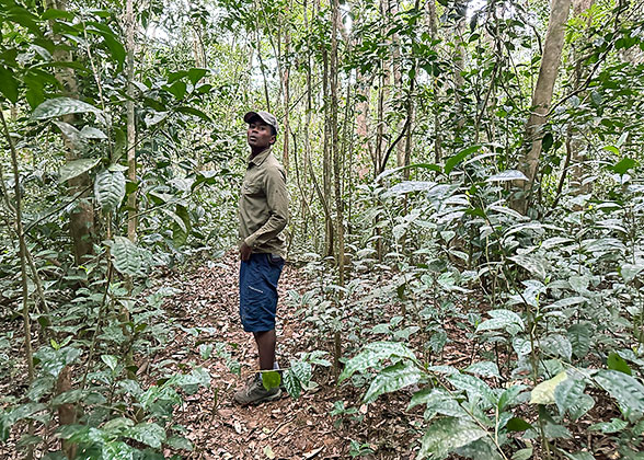 People Hiking in Ankarafantsika National Park