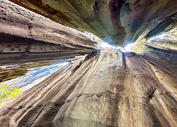 Scenery above Karst Cave in Ankarana