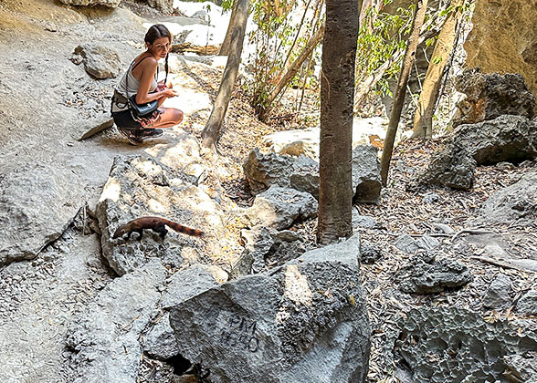 Ankarana National Park