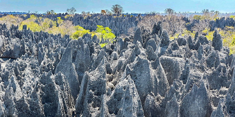 Rock Forests of Ankarana National Park