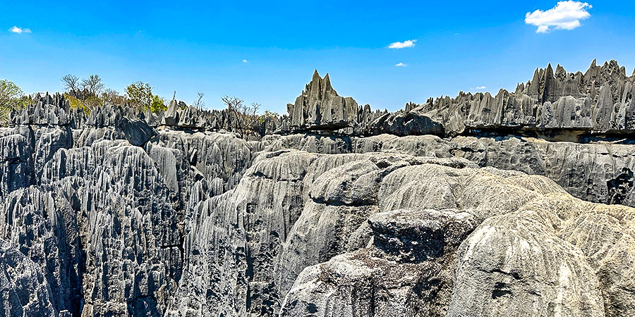 Limestone Tsingy in Ankarana