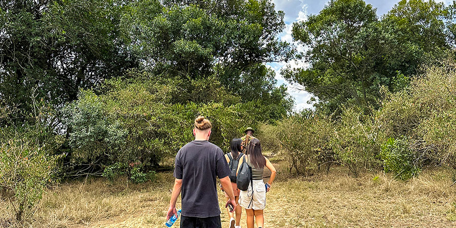 People Hiking in Sunny and Warm May