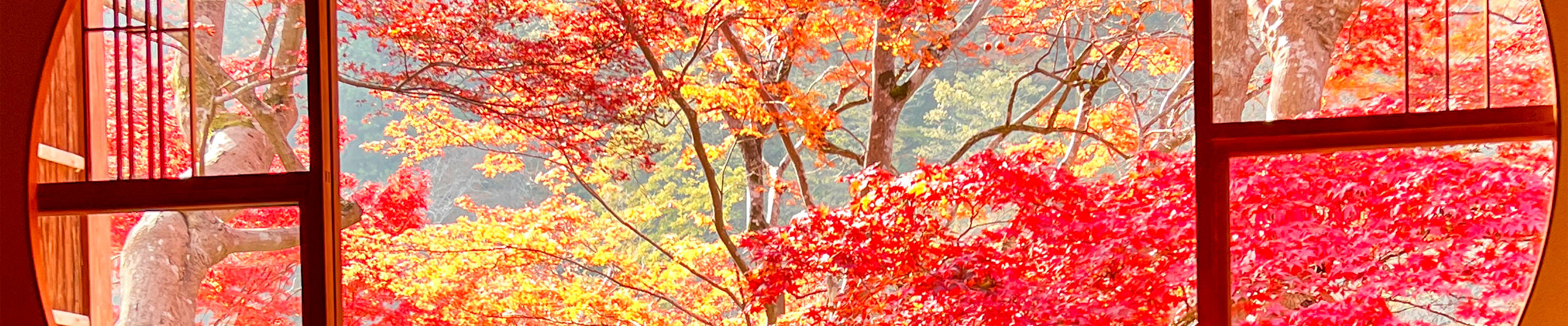 Arashiyama in Autumn Arashiyama in Autumn