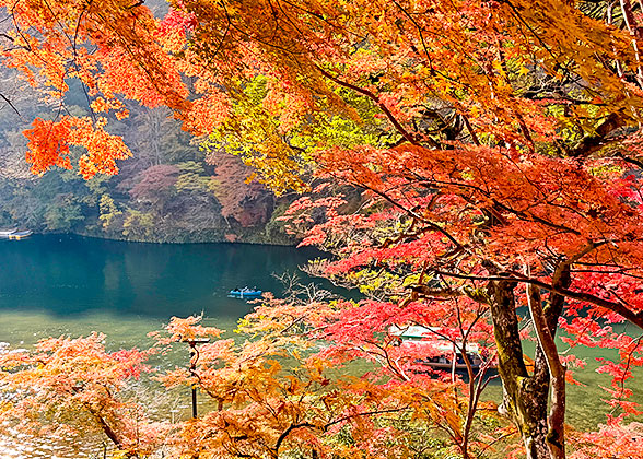 Stunning Fall Foliage in Arashiyama
