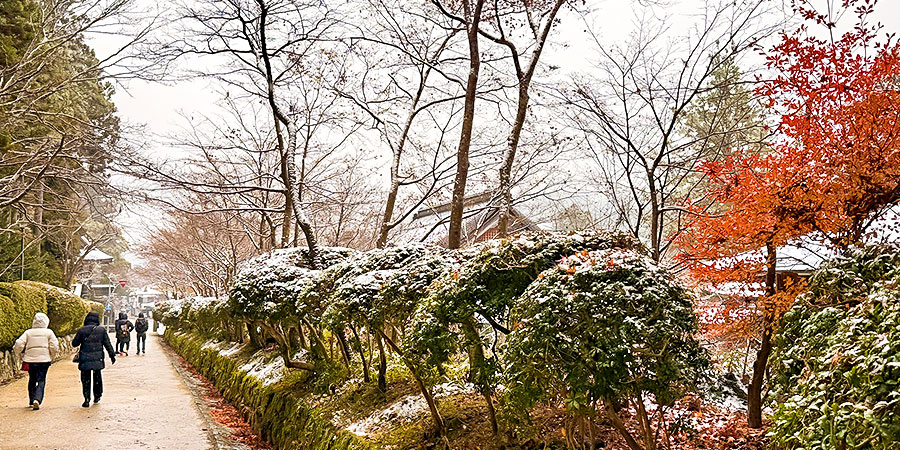 Snow Scenery in Arashiyama in December
