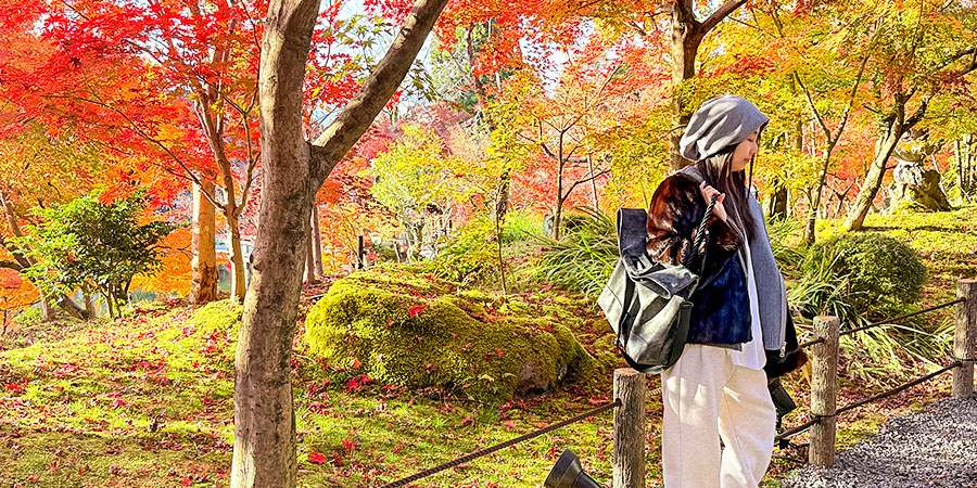 Autumn Views in Kaguraoka Park