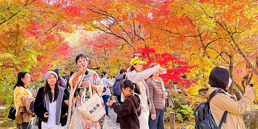 Splendid Autumn Foliage of Asahikawa