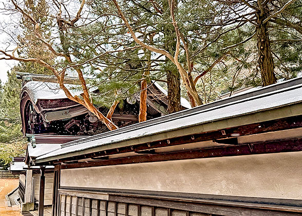 Snowfall of Asahikawa in Early Winter