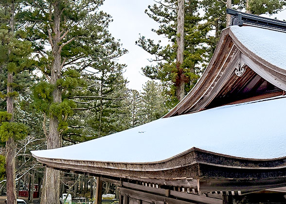 Asahikawa Snowfall in Winter