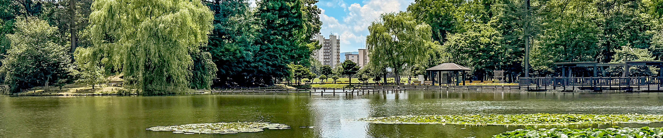 Tokiwa Park in Vibrant Summer