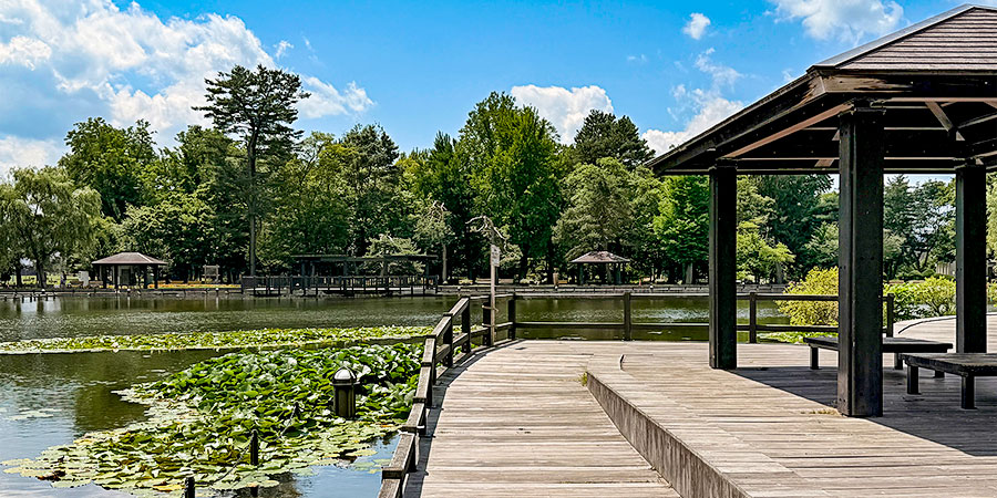 Tokiwa Park with Lush Plants