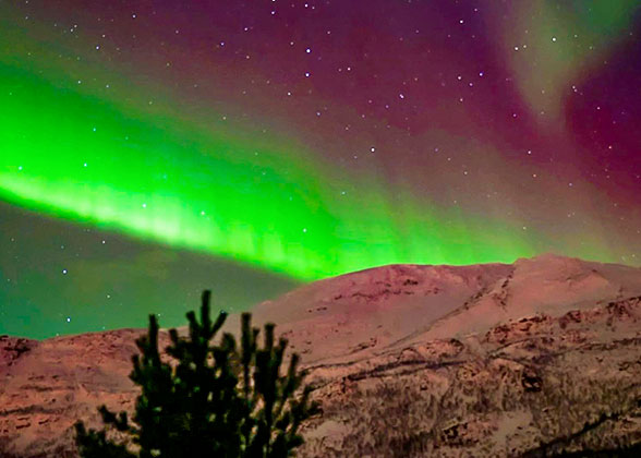 Beautiful Aurora