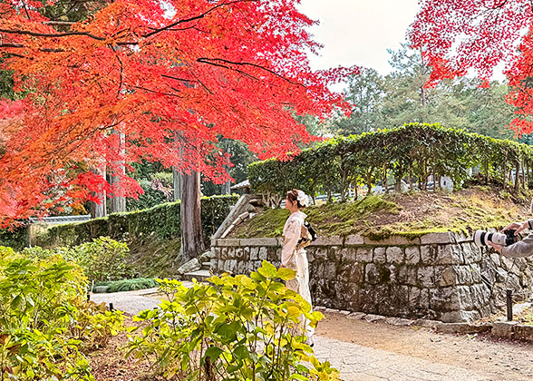 Autumn Foliage at Hokkaido Jingu